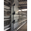 H Type Automatic Chicken Cage